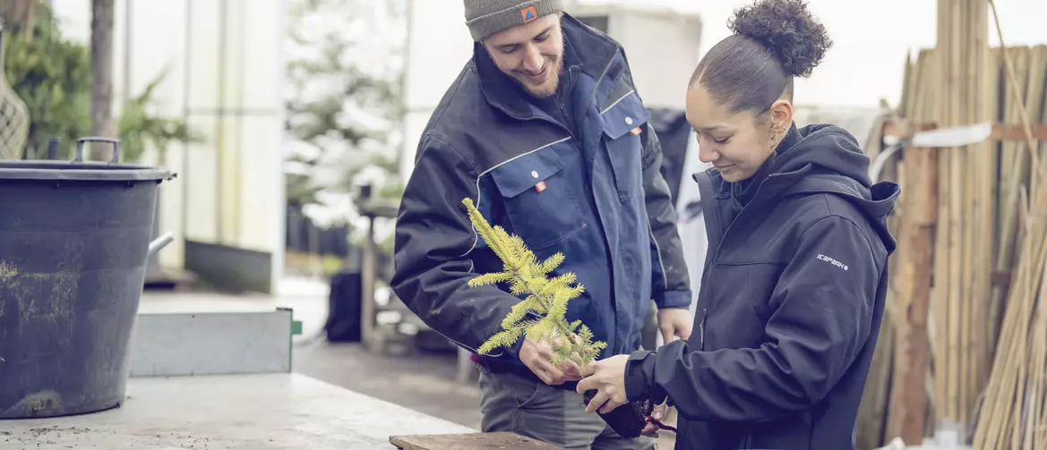 Apprentie paysagiste avec son formateur repoter un arbre