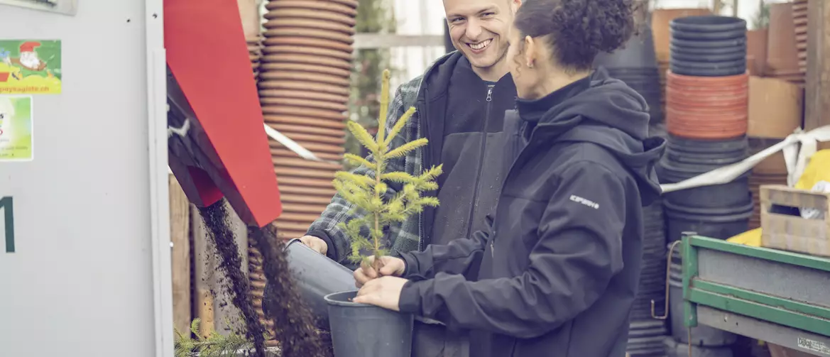 Apprentie paysagiste avec son formateur en train de repoter un arbre