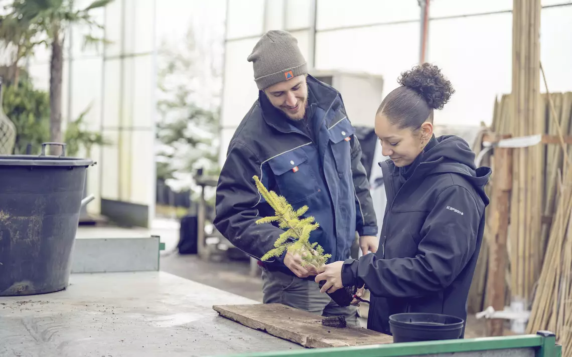 Apprentie paysagiste avec son formateur repoter un arbre