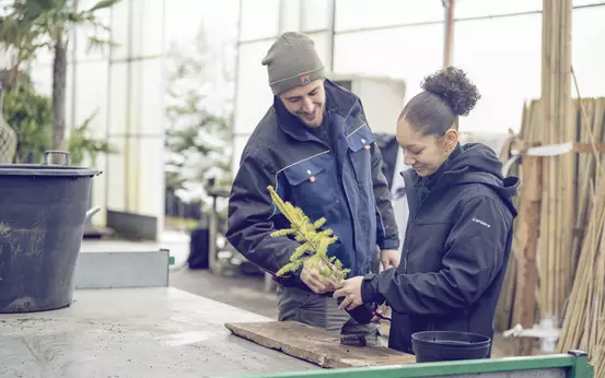 Apprentie paysagiste avec son formateur repoter un arbre